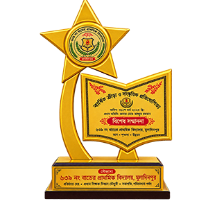 কাস্টমাইজড প্রিমিয়াম মেটালিক গোল্ডেন স্টার ও বুক শেপ সম্মাননা স্মারক ক্রেস্ট (Customized Metallic Golden Star & Book Shaped Crest)